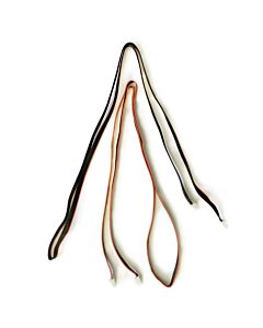 Koop Micasense Micasense 60cm DLS2 cableset of 2 pcs for Altum (standalone and Skyport versions), RedEdge-MX with SkyPort, the Dual Camera System, and for any Gen2 Quick Mount kits bij DroneLand!