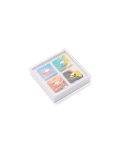 Koop DJI DJI Mic Mini 2 Time Series Magnetic Front Cover bij DroneLand!